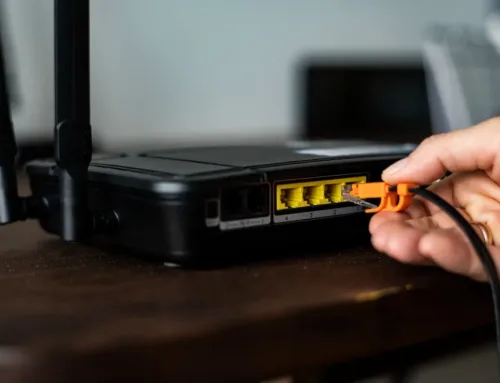 Fibra òptica a zones rurals de Catalunya: connectivitat sense límits